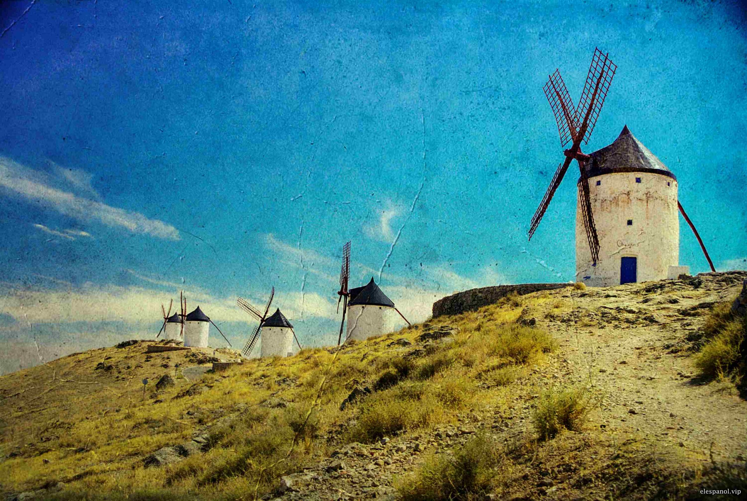 Best Satire for May 2025: Spanish-Language Wire-Report Comedy, Ranked